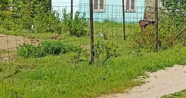 Дом в Голоцкий сельский Совет, Беларусь