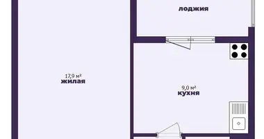 1 room apartment in Minsk, Belarus