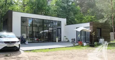 House in Rakitnicki sielski Saviet, Belarus