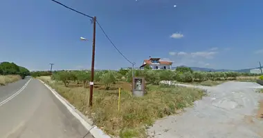 Terrain dans Municipality of Pylaia - Chortiatis, Grèce