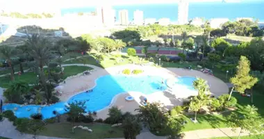 Mieszkanie 1 pokój w Benidorm, Hiszpania