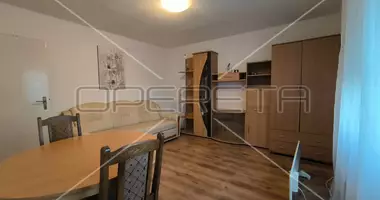 Apartment in Duga Resa, Croatia
