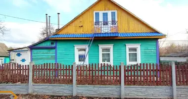 House in Sluck, Belarus