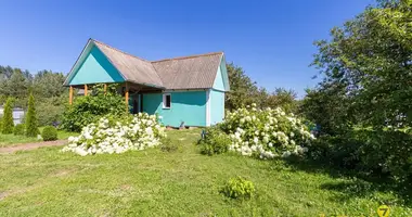 House in Dukorski sielski Saviet, Belarus