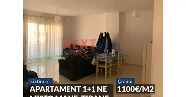 1 bedroom apartment in Tirana Municipality, Albania