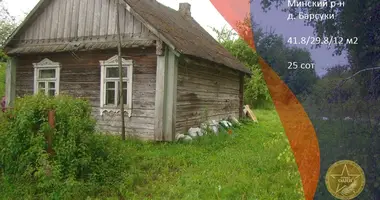 House in Haranski sielski Saviet, Belarus