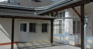 Haus 7 Zimmer in Ungarn