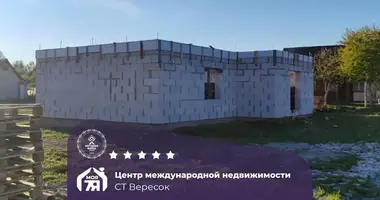 Grundstück in Smilavicki sielski Saviet, Belarus