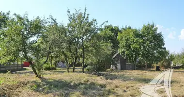 Maison dans Brest, Biélorussie