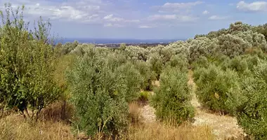 Grundstück in Amnatos, Griechenland