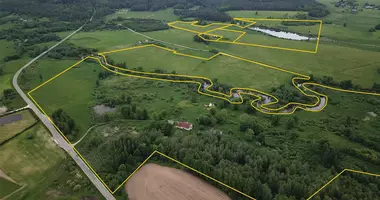 Plot of land in Vyliaudiskis, Lithuania