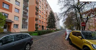 Apartamento 1 habitación en okres Usti nad Labem, República Checa