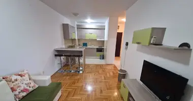 Apartamento 1 habitacion en Budva, Montenegro