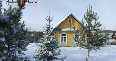 House in Hajnienski sielski Saviet, Belarus
