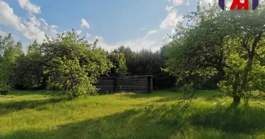 House in Persamajski selski Savet, Belarus