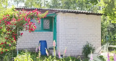 House in Skoki, Belarus