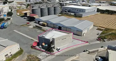 Производство 523 м² в Dali, Кипр