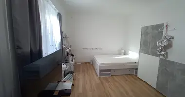 Haus 1 Zimmer in Zieglet, Ungarn