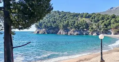 Mieszkanie 2 pokoi w Petrovac, Czarnogóra