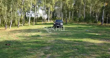 Terrain dans Afanasevo, Fédération de Russie