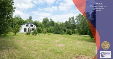 Terrain dans Krasnienski sielski Saviet, Bélarus