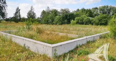 House in Sciapanki, Belarus