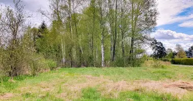 Plot of land in Pelediskis, Lithuania