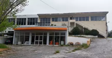 Commercial property 2 400 m² in Kouvaras, Greece