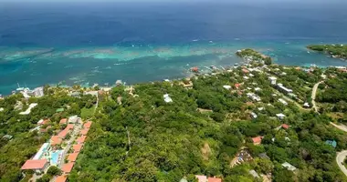 Condo in West End, Honduras