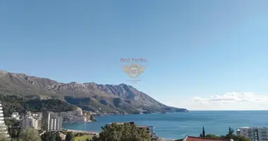 1 bedroom apartment in Montenegro