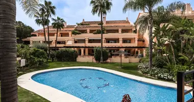 2 bedroom apartment in San Pedro Alcantara, Spain