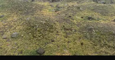 Участок земли в Рустави, Грузия