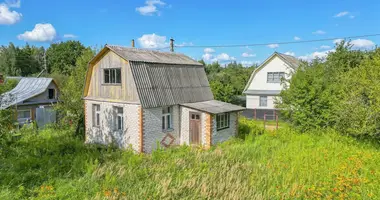 House in Zabalocki sielski Saviet, Belarus