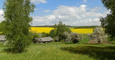 Haus in Valozynski siel ski Saviet, Weißrussland