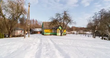 House in Trakai, Lithuania