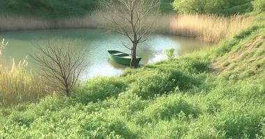 Plot of land in Gachiani, Georgia