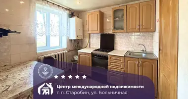 Appartement 4 chambres dans Starobin, Bélarus