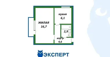 2 room apartment in Minsk, Belarus