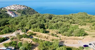 Plot of land in Blizikuce, Montenegro