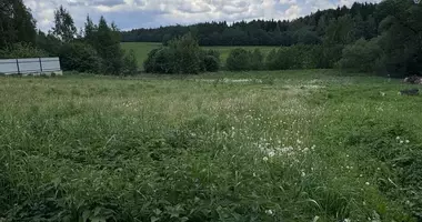 Plot of land in Astrosycki sielski Saviet, Belarus