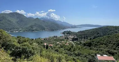 Участок земли в Херцег-Нови, Черногория