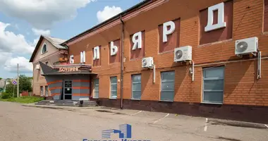 Propiedad comercial 1 227 m² en Babruisk, Belarús