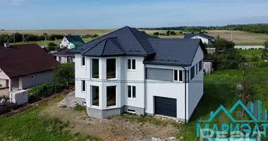 House in Zodzinski sielski Saviet, Belarus