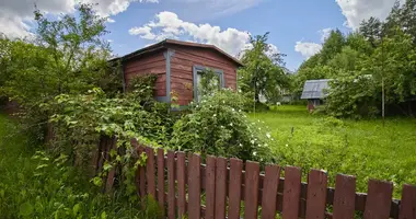 House in Rakauski sielski Saviet, Belarus