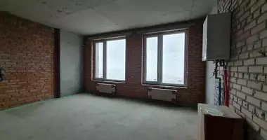 1 room apartment in Kyiv, Ukraine