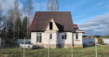 Haus in Juchnauka, Weißrussland