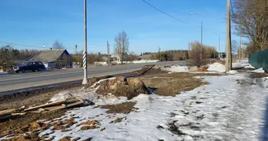 Parcela en Kipenskoe selskoe poselenie, Rusia