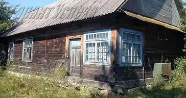 House in Kamyanyets, Belarus