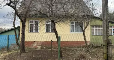 House in Daskauski sielski Saviet, Belarus