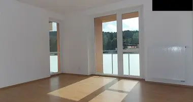 Appartement 1 chambre dans okres Karlovy Vary, Tchéquie